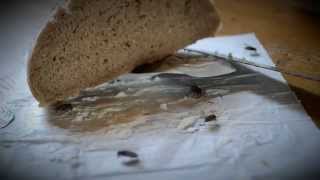 Video TRANZAN - Vlastním, tedy jsem (oficiální video)