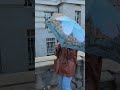 Видеообзор Женский мини зонт Fulton The National Gallery Tiny-2 L794 Canaletto Venice (Венеция) 