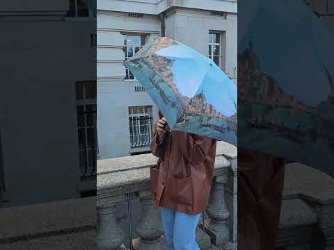 Видеообзор Женский мини зонт Fulton The National Gallery Tiny-2 L794 Canaletto Venice (Венеция) 