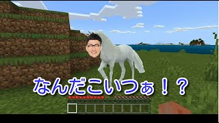 無人島から始まるマインクラフトpart2～島の名前決まりました