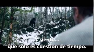 Into the fray- Marc Streitenfeld (The Grey-Infierno Blanco)