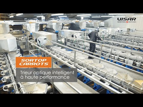 Visar Sorting Sàrl : Sortop Carrots - Ligne de tri de carottes avec 6 trieurs et  14 sorties