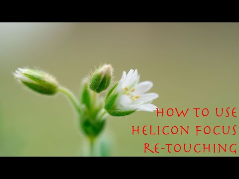Helicon Focus Retouching