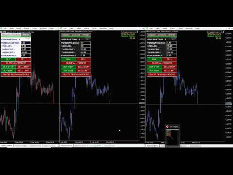 Video Pro Trader Assistant