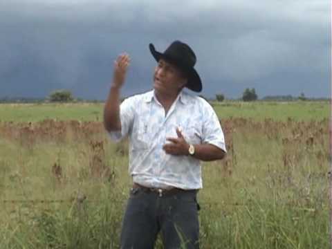 La Venida Del Senor - Alfonso Nino