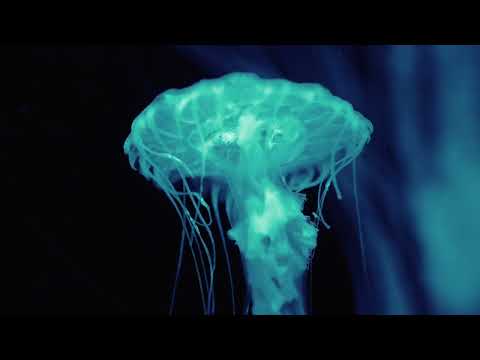 JOYRYDE - 4AM - Drum Cover (Hans Glader Visual)