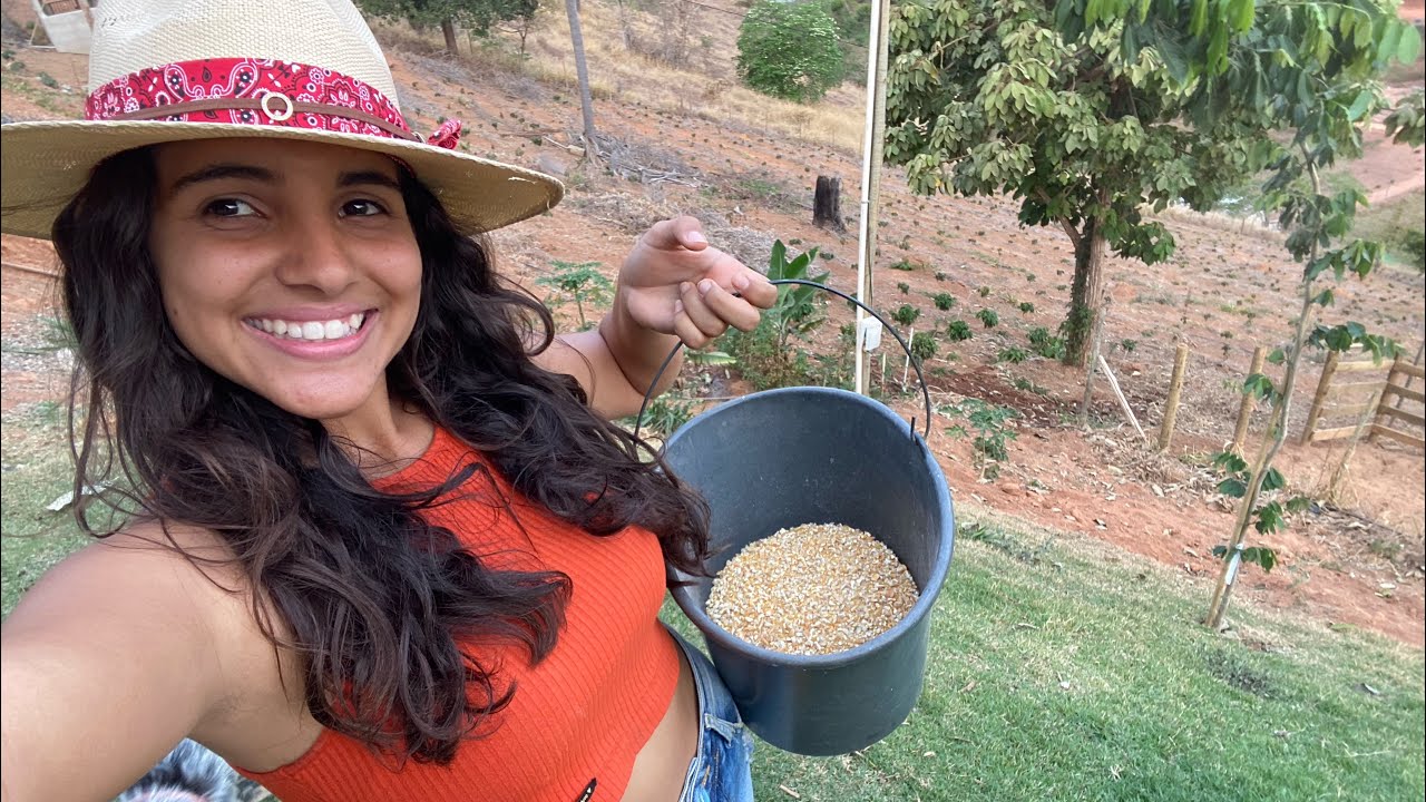 ROTINA DO SÍTIO RECANTO DA SERIEMA!! #roça #rotinadodia #sitio