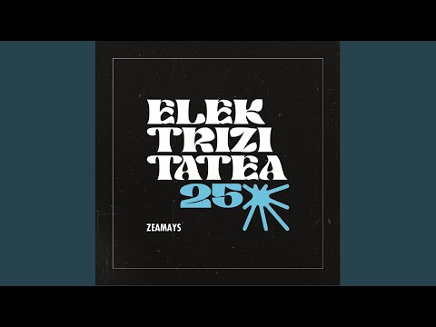 Elektrizitatea 25
