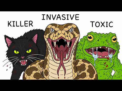 Every Invasive Animal Destroying the Planet
