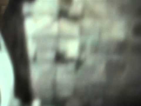 12by15.com Mario Grubisic (1)