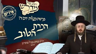 הרב מנחם מנדל פומרנץ | רגע של מדרש -אידיש- יום ה' פרשת מטות • הכרת הטוב •
