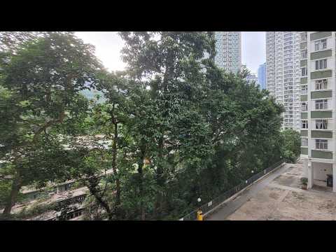 南丰新邨 Youtube Video