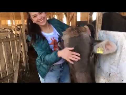 Podpořte vznik mé kavárny a výletního místa přímo na statku