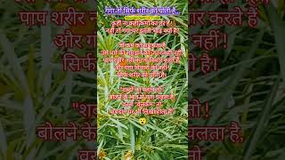 Download lagu 😮 गंगा तो सिर्फ शरीर को धोती है #quotes #motivation #emotional #inspiration #trendingshorts #shorts mp3 Download lagu 😮 गंगा तो सिर्फ शरीर को धोती है #quotes #motivation #emotional #inspiration #trendingshorts #shorts mp3