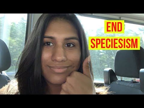 Why I became vegetarian 🌱