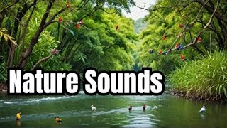 Peaceful Day in Nature 🌿 Pure Sounds of Forest & Calm Lake & River (10 Hours)