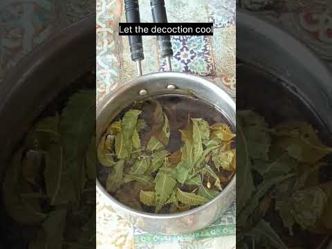 Neem Pesticide Spray for Plants - Organic Pesticide