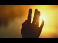 Vibfy  - Just Lights