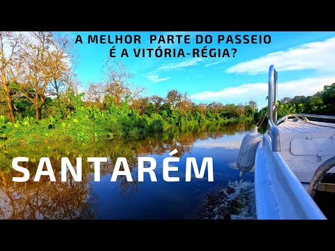 Discover a little bit of Santarém, in Pará, on a river trip – travel tips