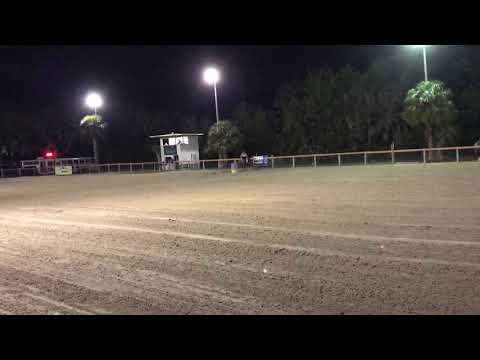 Shy at Sandspur Jackpot nov 2017