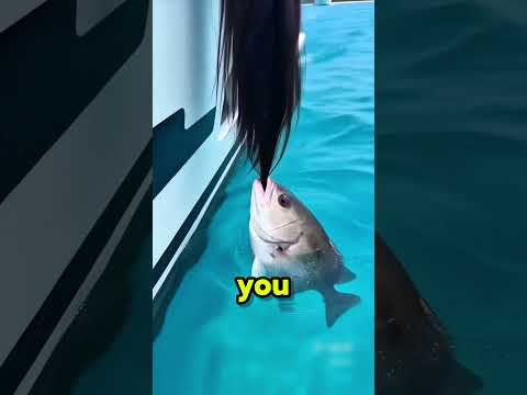 Mom, I caught that fish so easily!🦈