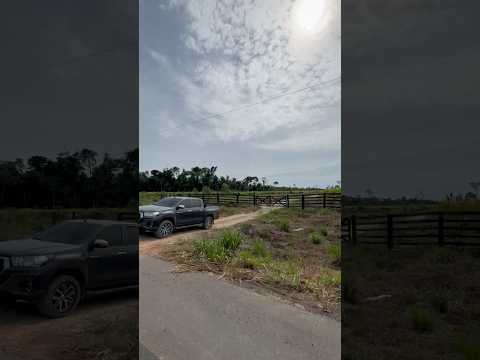 TERRA BARATA EM URUARA,PÁ 22 ALQUEIRES 106 HECTARES