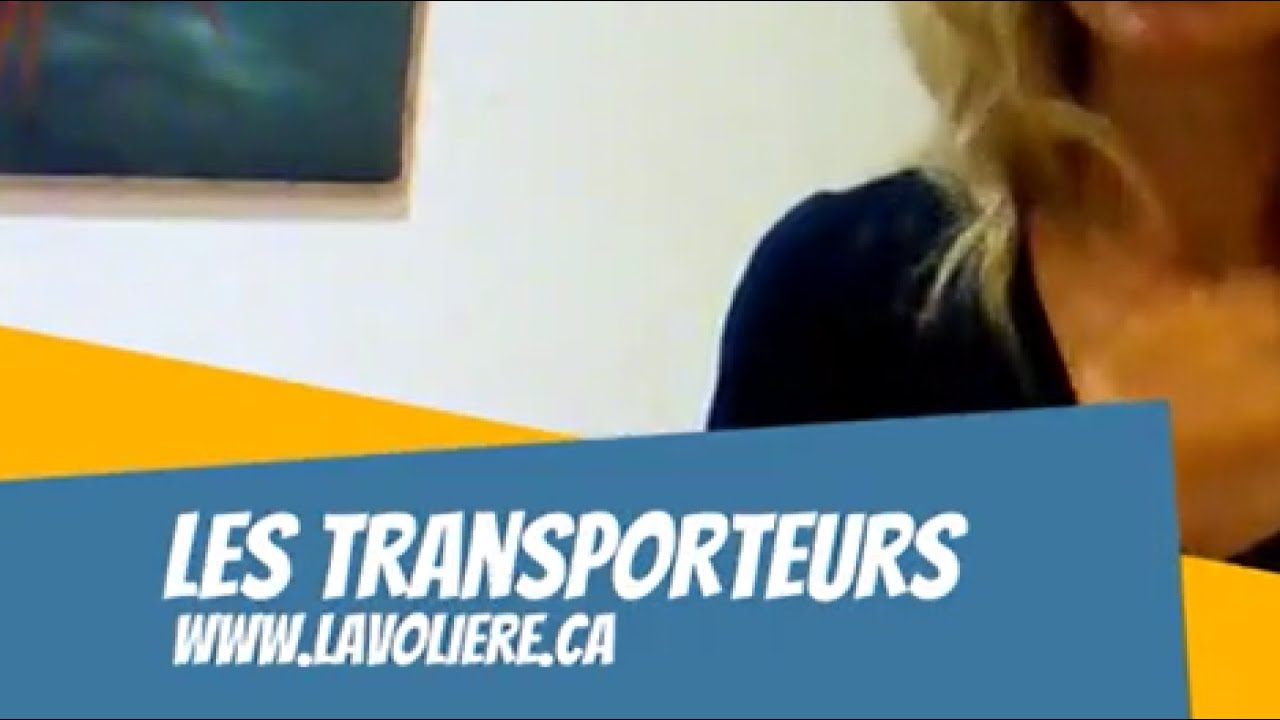 Les sacs et cages de transport pour perroquet.