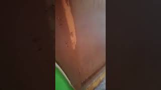 Download lagu istri selingkuh sedang wik-wik di grebek suami #viral #trandingnow #tranding #trandingshorts mp3 Download lagu istri selingkuh sedang wik-wik di grebek suami #viral #trandingnow #tranding #trandingshorts mp3