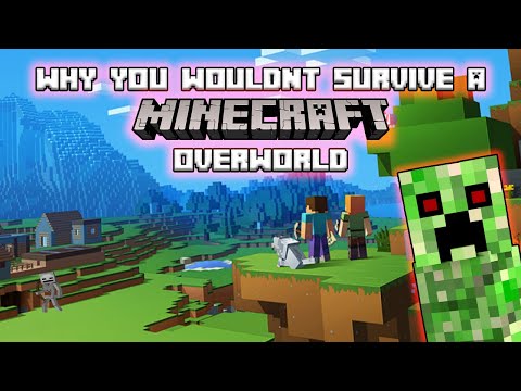 Why You Wouldn't Survive Minecraft's Overworld