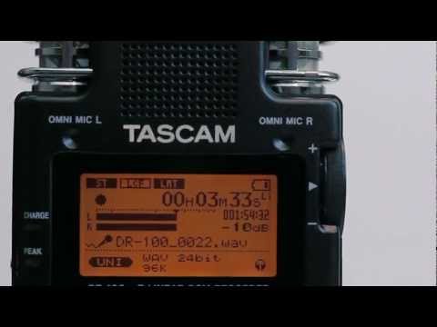 Tascam DR-100 MKII: A Closer Look