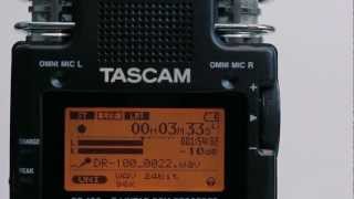 Video thumbnail for Tascam DR-100 MKII: A Closer Look by Doug Boyd