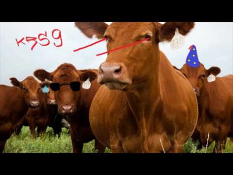 Kerros 9 (ft. Kelepo) - Piä Pihvis