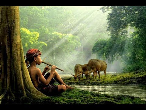 Kecapi Suling Sunda - Walang Sungsang