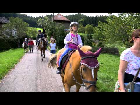 Video 24 aus  Kempfenhof