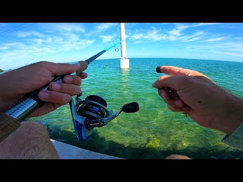 Fishing Ultra Clear Water for What Ever Bites - Florida Keys Adventure Epi 2
