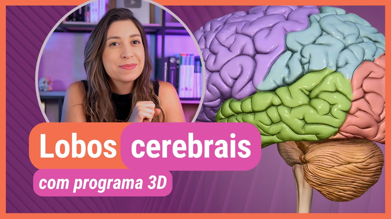 LOBOS CEREBRAIS! Com programa 3D