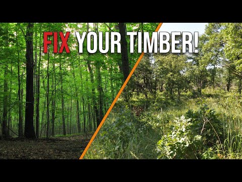 Every Deer and Turkey Habitat Manager Needs to Know This