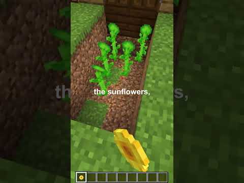how to protect yourself from zombies in minecraft...