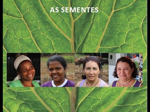 As Sementes | Documentário