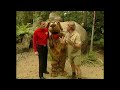 The Wiggles Wiggly Safari 2002 Part 9