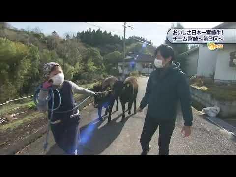 2022年12月17日(土)放送 「宮崎牛おいしさ日本一！チーム宮崎～３区～」