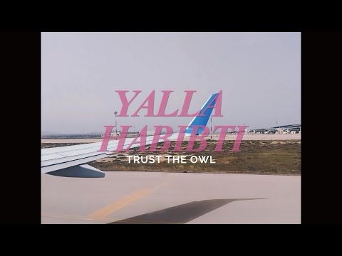Skoy Label and Trust the Owl