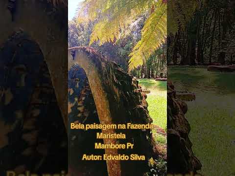 Fazenda Maristela, Mambore Pr