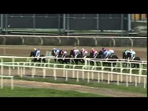 Stockholm Cup International (Gr3) 2010