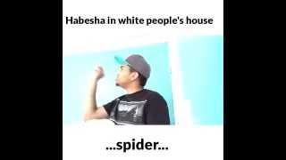 Funny Ethiopian  Comedy vine by mickyalem "get se spider out ze houz"