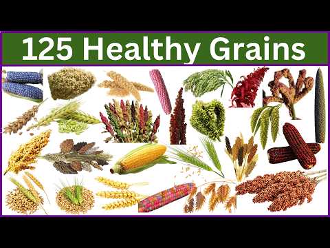 125 Healthy Grains and Their ultimate Health Benefits