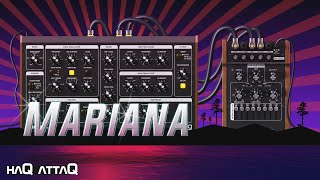 Video thumbnail for MOOG Mariana is a Deep Modular Bass Synthesizer | haQ attaQ by Jakob Haq