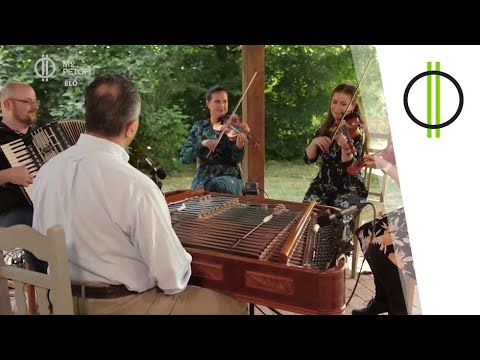 Salamon Beáta népzenész, népi hegedűtanár