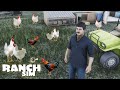 Ranch Simulator chicken house | Part #4