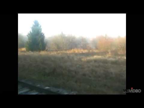 Jízda vlakem Os 26806 v úseku Mikulov nové město-Moldava v Krušných horách+obrázky trať 135